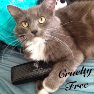 cruelty free cat
