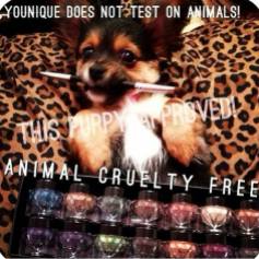 cruelty free pup