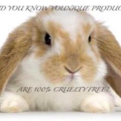 cruetly free rabbit