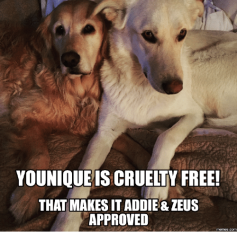 younique cruelty free dogs